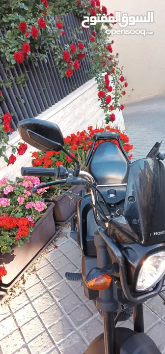 سكوتر هوندا نافي