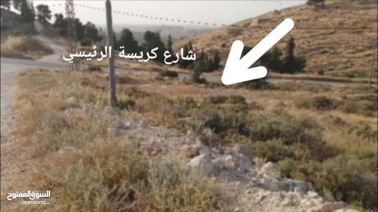 ارض ع شارع 12 متر ع خط كريسة الرئيسي بسعر مغري