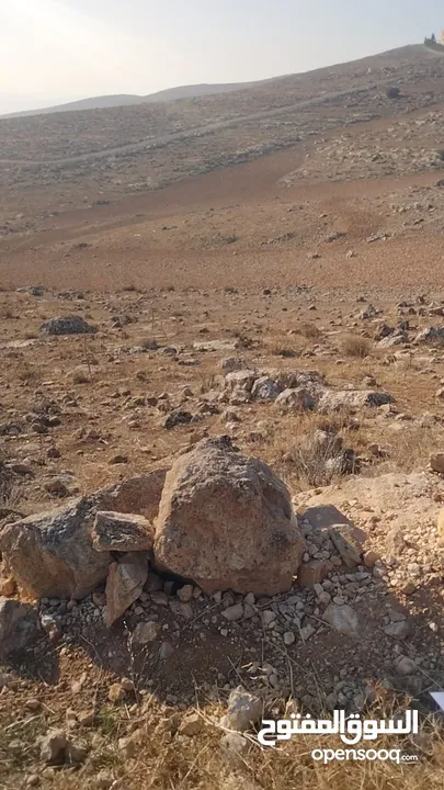 قطع اراضي زراعية للبيع في محافظة المفرق