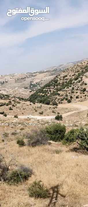 ارض  مشرفه على شارع الستين للبيع مساحة 1170م +200 متر فضله في السلط قرب مسجد الهاشمي (القسام شرقي)