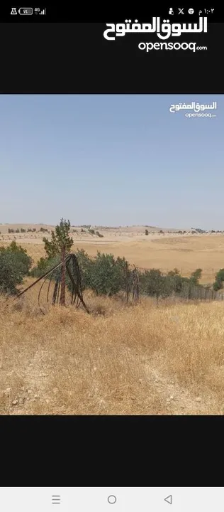 ارض زراعية للبيع  .. قطعه زراعية .   محافظة مادبا . ذيبان . مليح . حوض العلاقي . مساحة اربع دنمات