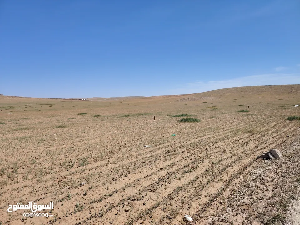 أرض للبيع أراضي جنوب عمان  المناخر