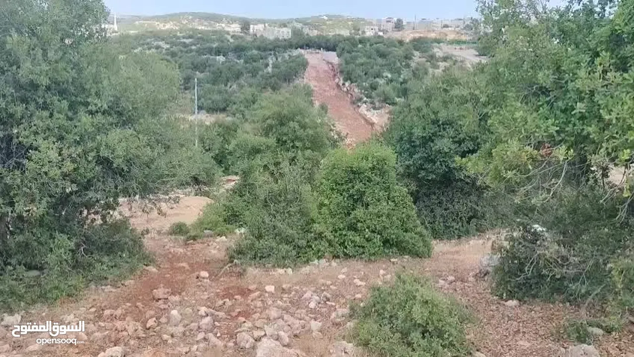 قطعة ارض للبيع راسون منطقة الطالبيه