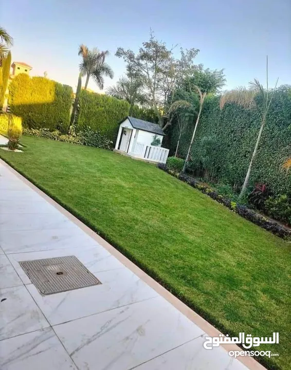 نجيل طبيعي بسبيلم بيور
