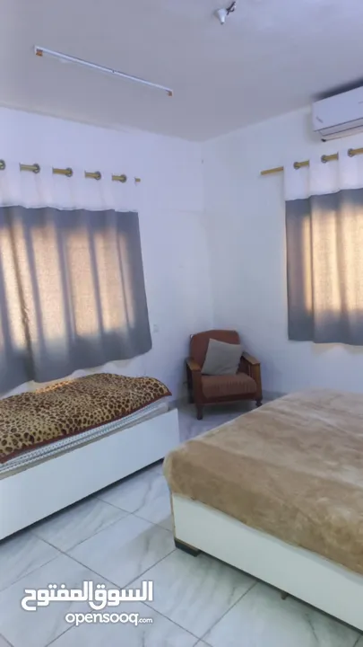 ستديو / شقة للايجار اليومي فقط