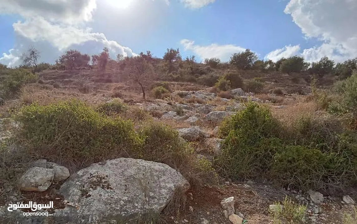 ارض في عنبتا الجبل الجنوبي تصنيف أ واصلها جميع الخدمات اطلاله ولا اروع راس ابو عمر القبلي