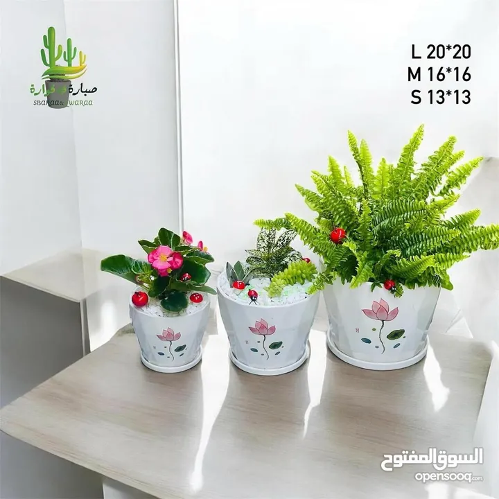 توزيعات للمناسبات والهدايا  وقواوير زينة داخل المنزل