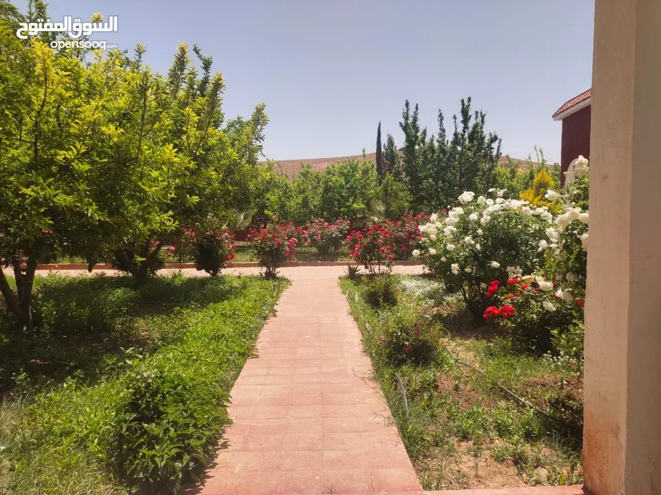 134-Hectare Farm for Sale in Morocco - مزرعة محفظة للبيع بمساحة 134 هكتار في منطقة ورزازات، المغرب