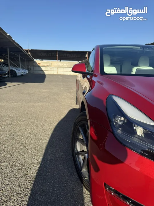 ‎‏‎‏Tesla Model 3 Standard Range Plus 2023