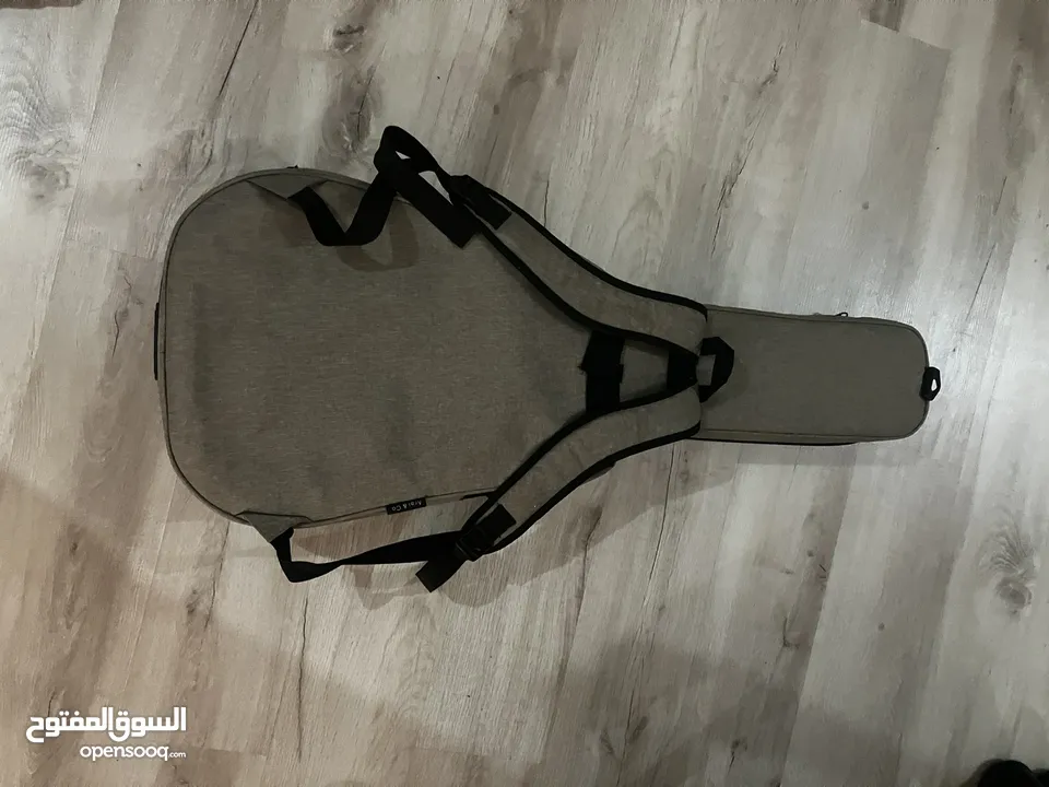 Guitar case