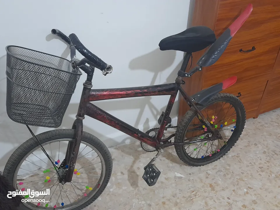 بسكليت نمرة 20 للبيع