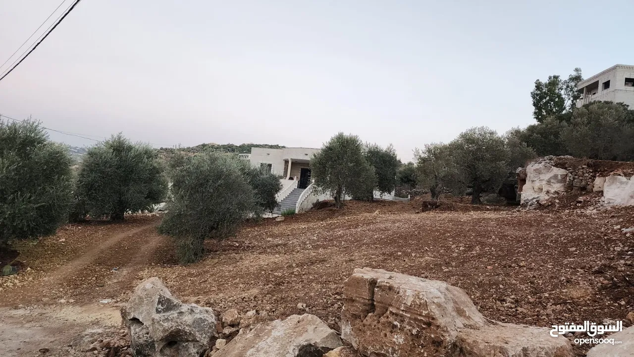 كوبر / أرض للبيع مساحه 750 متر مشجره بالزبتون