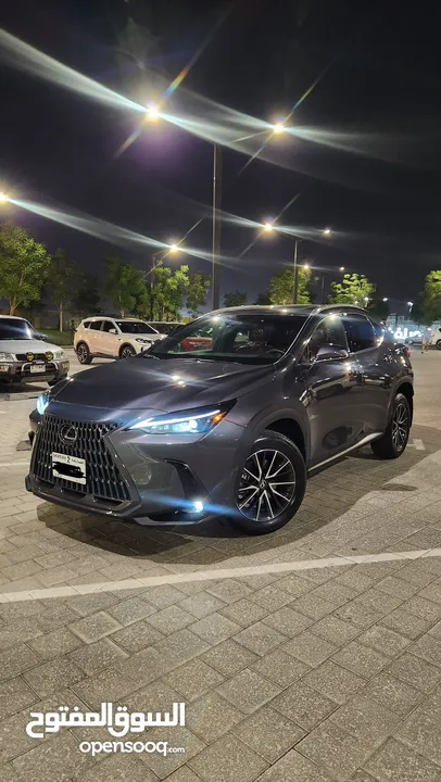 Premium Lexus NX 350