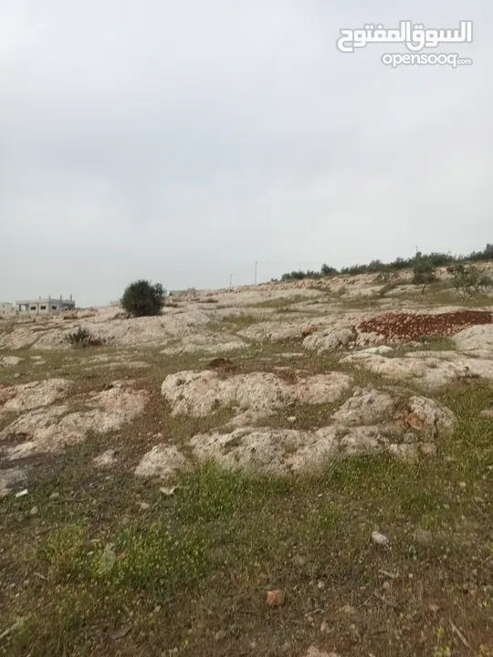 ارض سكنيه قرب مثلث حور فوعرا للبيع بسعر مغري