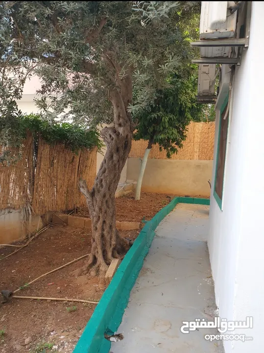 For Rent Achrafieh Garden apartment