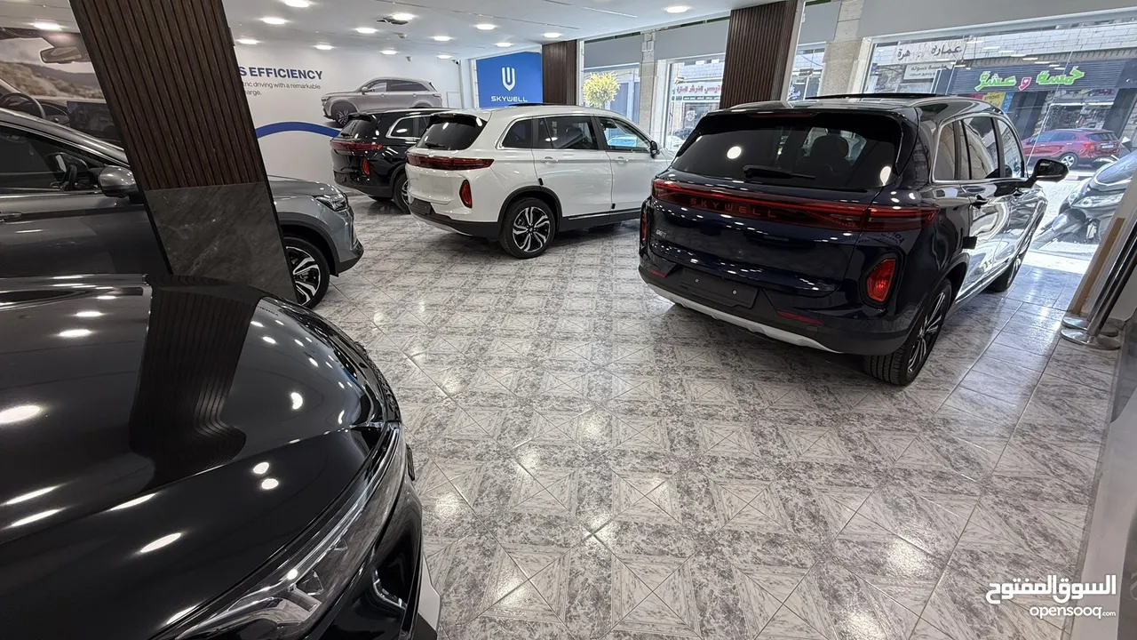 بتمشيك640كيلو على شحنة حجم بطارية86 سكاي_ويل العائلية