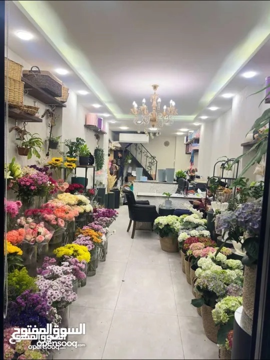 فرصة استثمارية مميزة