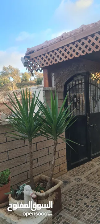 بيت مستقل مع ارض  للبيع بسسب السفر