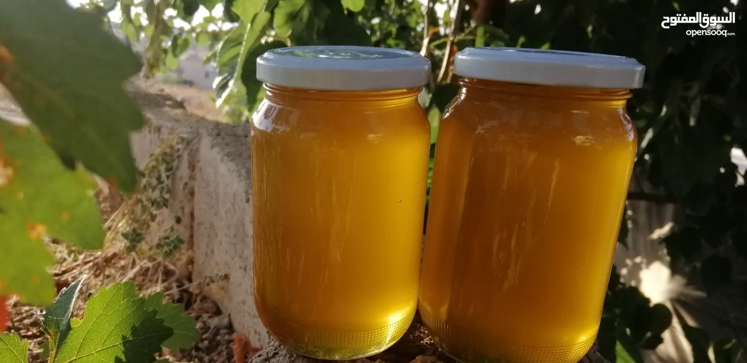عسل طبيعي بلدي اصلي مضمون ومكفول 100٪؜ من مناحلنا