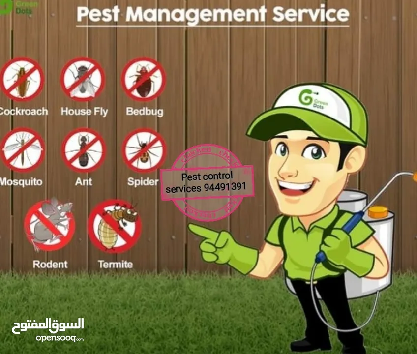 Pest control service's & fogging also have