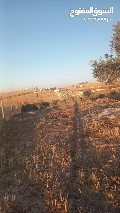 أرض داخل التنظيم للبيع