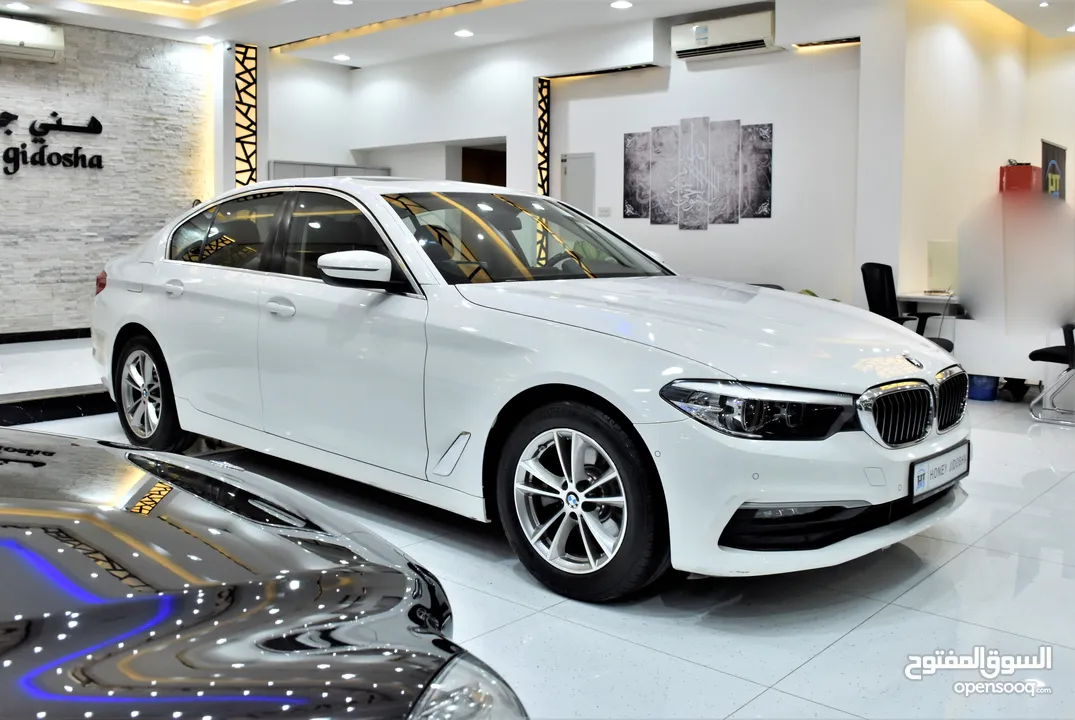 BMW 520i ( 2019 Model ) in White Color GCC Specs