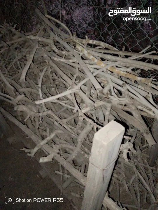 تشكيلة حطب للبيع