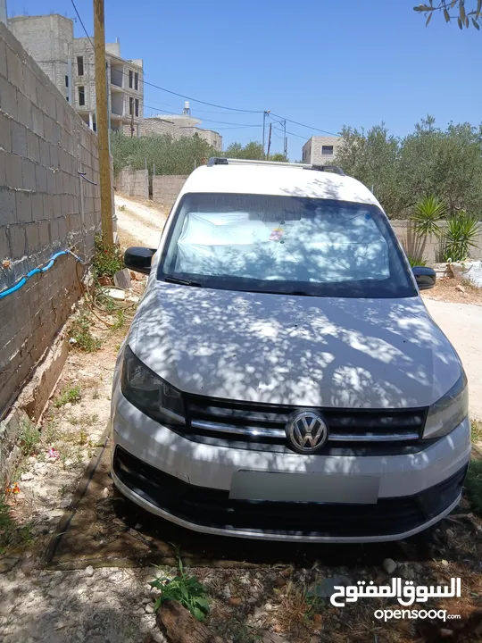كادي لابيع 2018