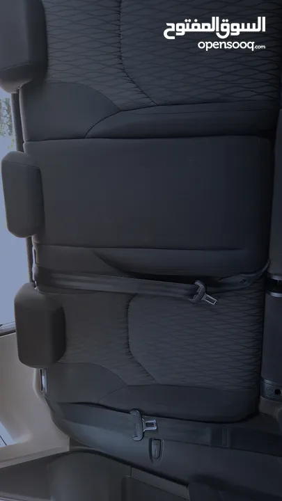 seat lion standard