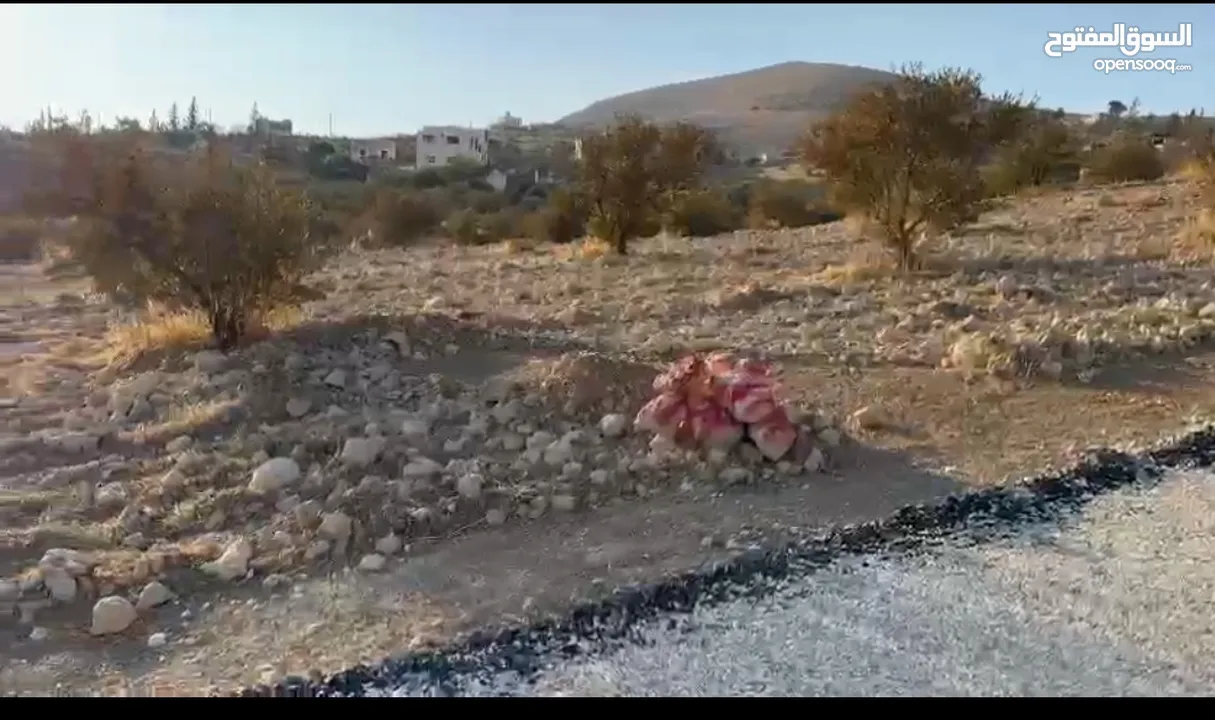 ارض زراعية مميزة لقطة استثمارية صروت حوض حدد من المالك مباشرة