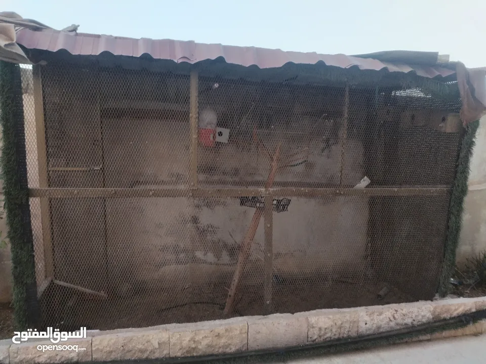 مطاير تفصيل حديد ثقيل ومدهون تفصيل سبب البيع الرحيل