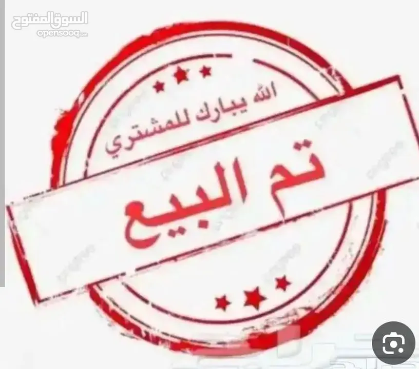ارباش الماني اسود طير حمام على الأول