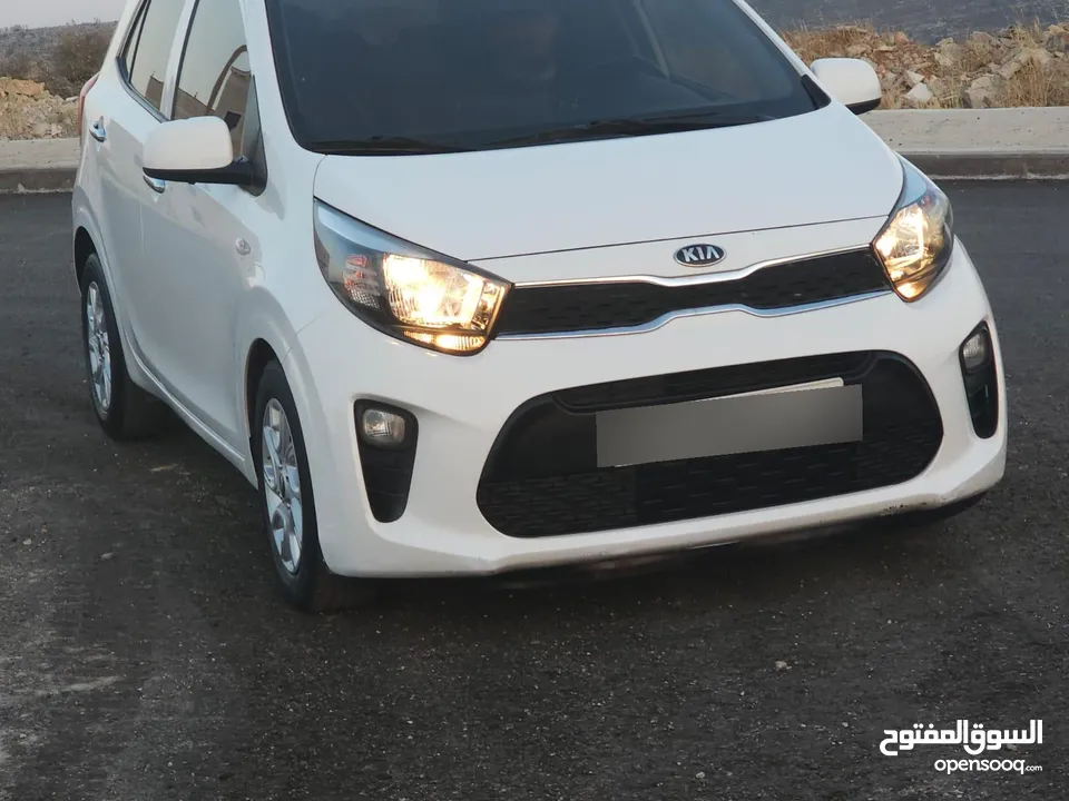 كيا مورنينج ترخيص 2019 فحص نخب