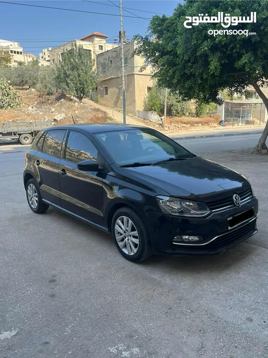 بولو تحفة و فحص