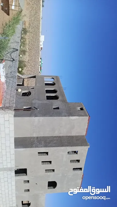 فيله للبيع