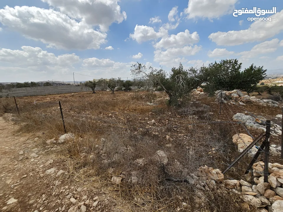 فرصة استثمارية لا تعوض . ارض مميزة للبيع في بيت قاد