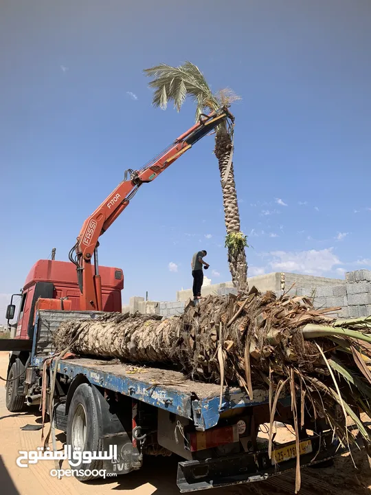 وانش لليجار داخل وخارج طرابلس رقم الهاتف