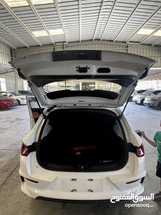 بطارية كبيرا اعلى صنف عداد قليل BYD E 2 2021