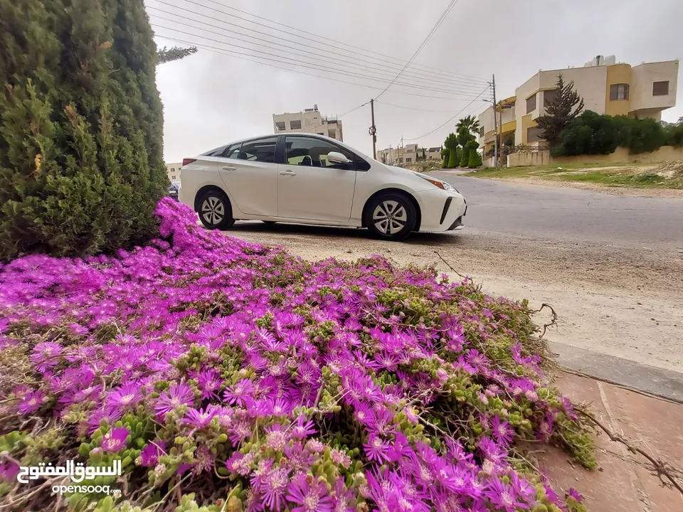 تيوتا بريوس 2019