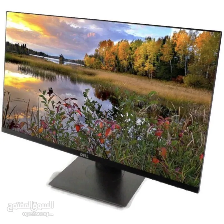 Dell P2419h - 24" (23.8" viewable)