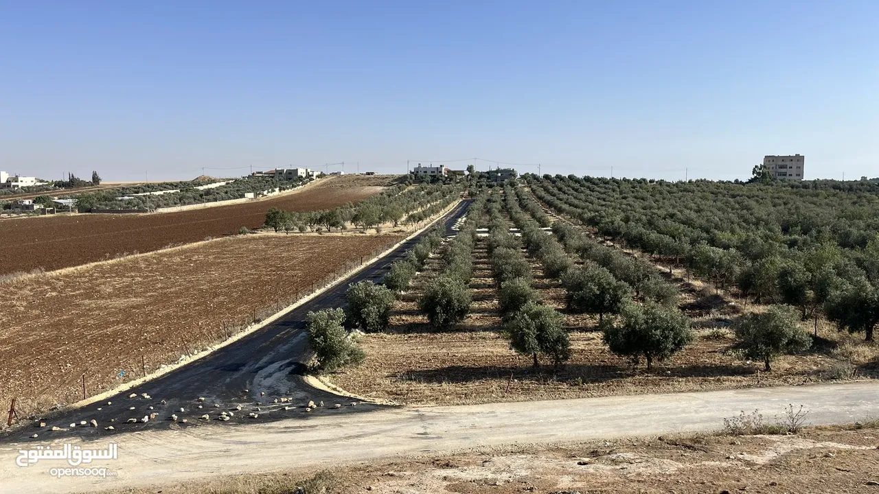 ارض للبيع في حسبان قريبة من شارع المطار ومرج الحمام على شارع مأدبا الغربي قريبة من الجامعة الألمانية