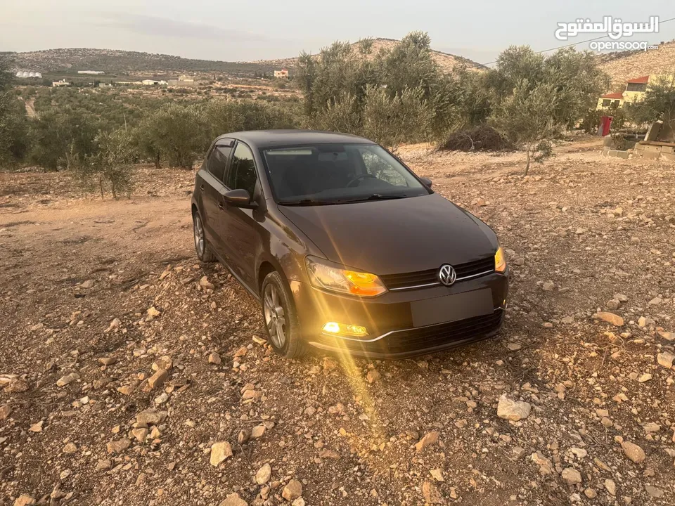بولو جير عادي الحبة النادرة باللون و الجمال و الفحص