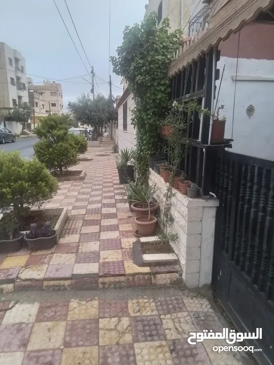 عماره ثلاث طوابق  ام الحيران ش مدرسة البنين الثانويه خلف محكمة جنوب عمان
