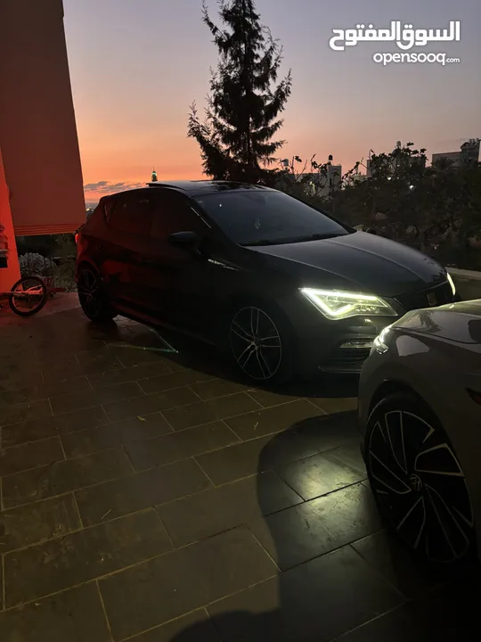 سيات كوبرا 2019