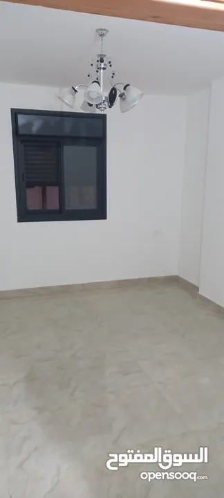 شقه للايجار