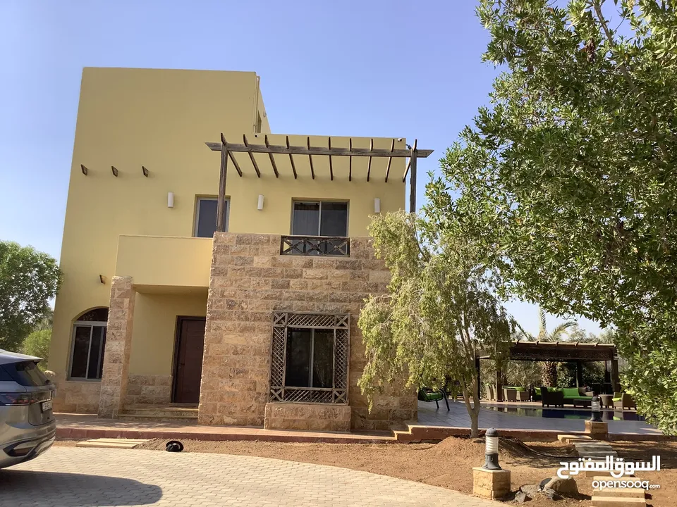 مزرعة في البحر الميت/ الشونه الجنوبية / السويمه / حوض جلد مميزة للبيع للجادين فقط