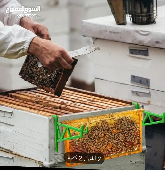 نخلصكم من النحل والدبابير التي تسكن الاباجورات والشبابيك