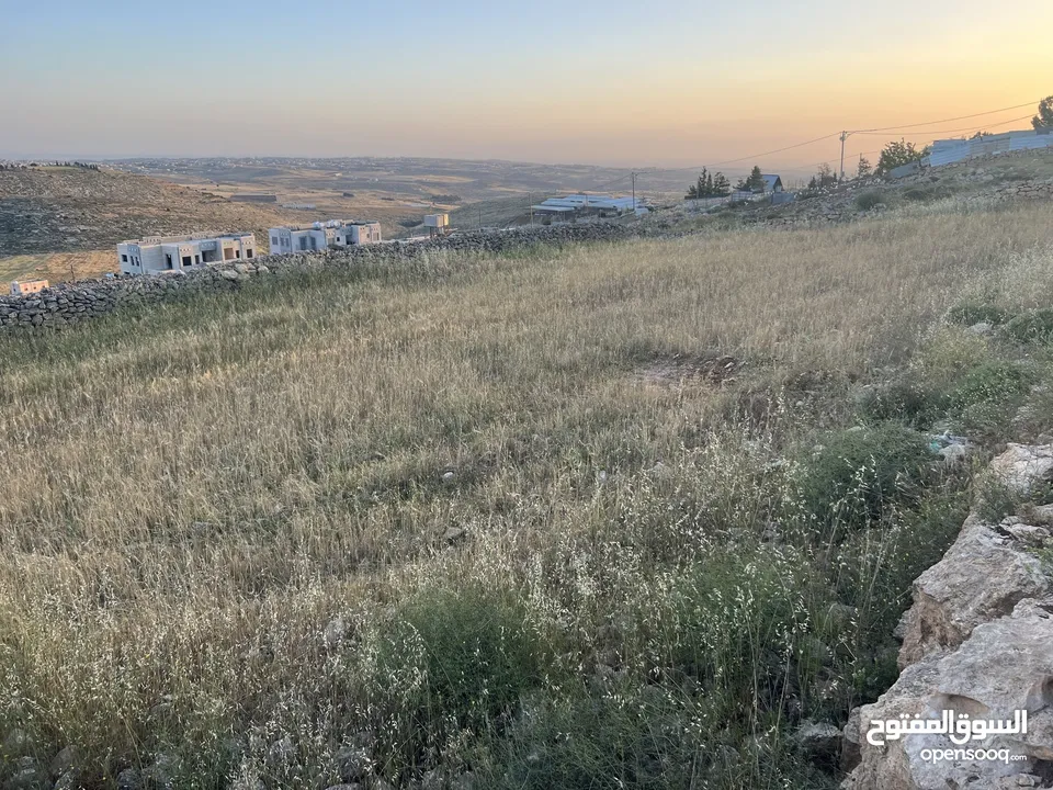 كادي ترخيص 2012