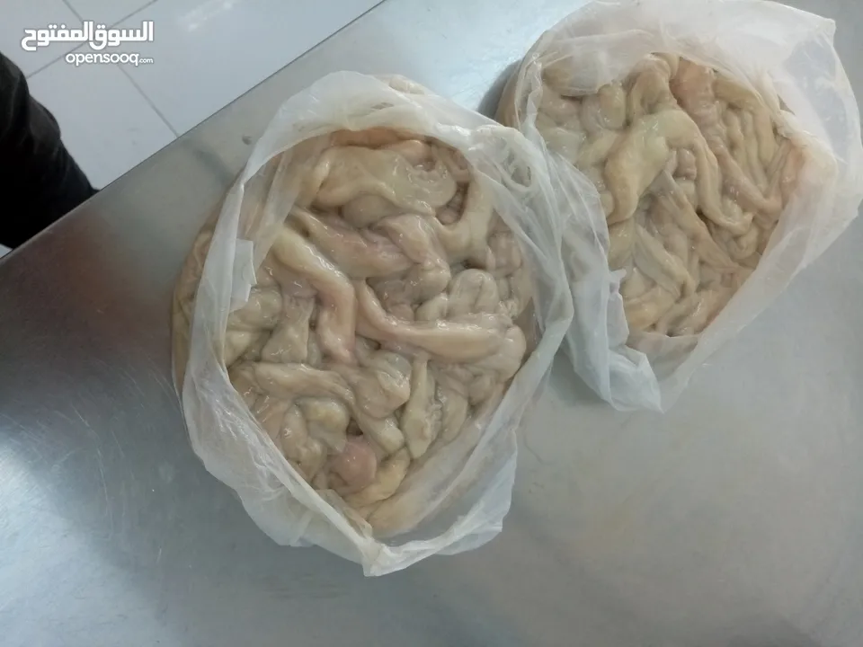 شركه المحمديه للأمن الغذائي موجود كوراع فريش ونظيفه