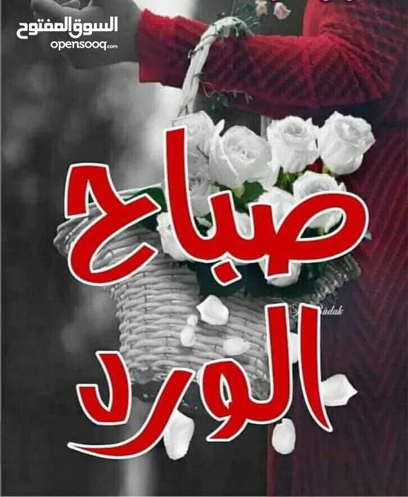 مطلوب مطلوب حسون.   وذكر ياسمين موزنبيق